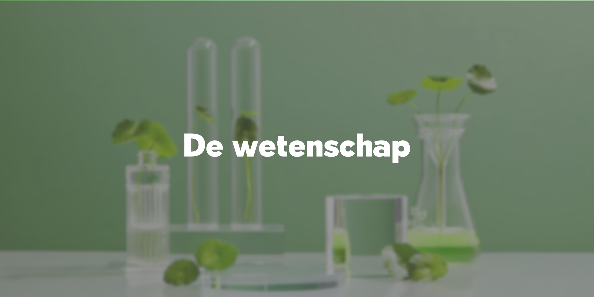 Hoe het werkt & De Wetenschap